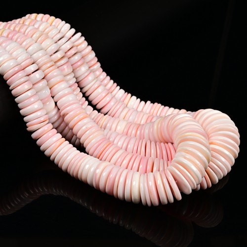 Pink queen conch shell - pink,
